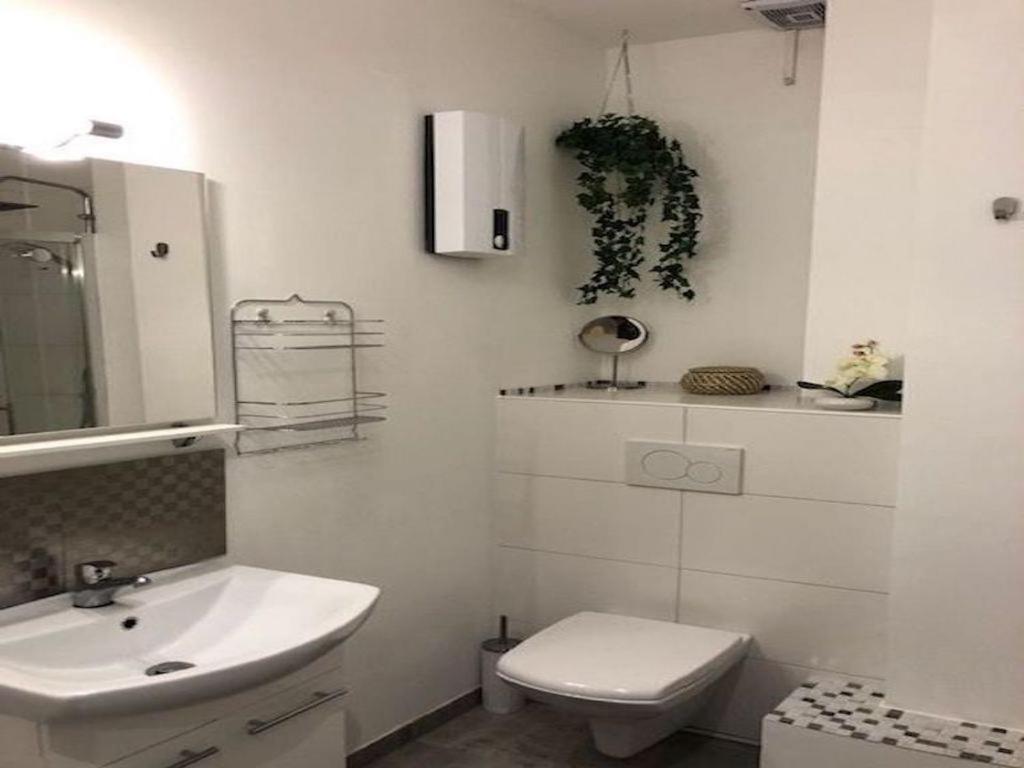 Veedel - Gemuetliche Ferienwohnung In Bester City Lage Köln Ngoại thất bức ảnh